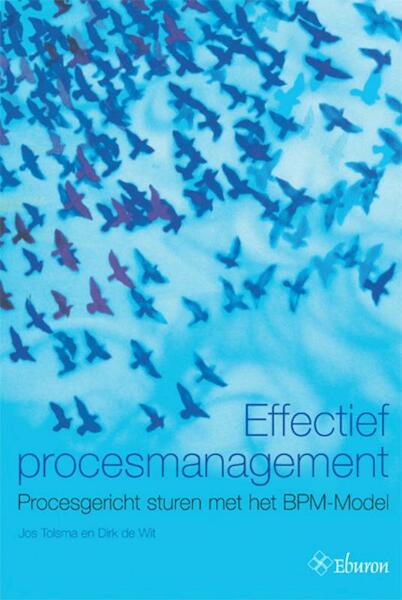 Effectief procesmanagement - Dirk de Wit, Jos Tolsma (ISBN 9789059722903)