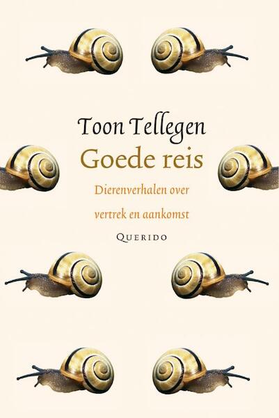 Goede reis - Toon Tellegen (ISBN 9789021446363)