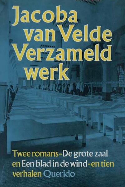 Verzameld werk - Jacoba van Velde (ISBN 9789021445755)