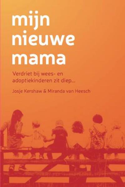 Mijn nieuwe mama - Miranda van Heesch, Josje Kershaw, Evelien Baks (ISBN 9789090283845)
