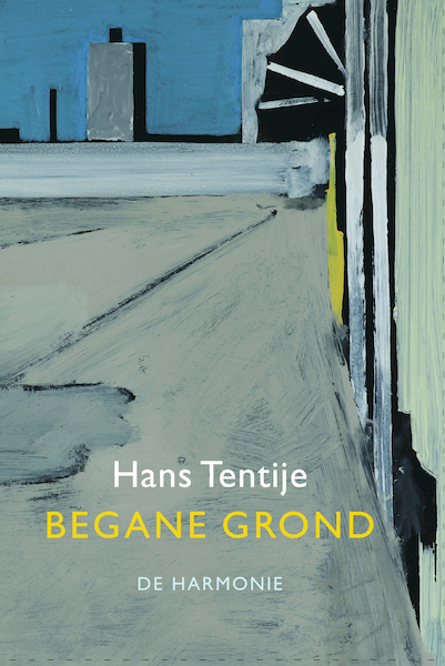 Begane grond - Hans Tentije (ISBN 9789463360654)