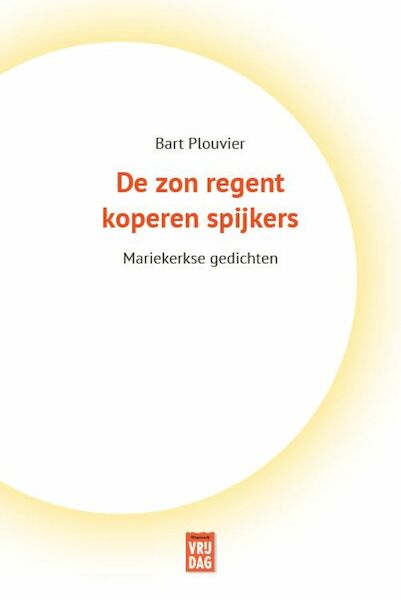 De zon regent koperen spijkers - Bart Plouvier (ISBN 9789464340112)