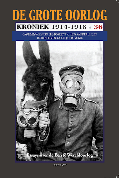 Het optrede van de Britse marine op de Dwina 1918-1920 - Bas De Groot (ISBN 9789464240405)