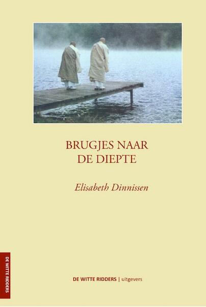 Brugjes naar de diepte - Elisabeth Dinnissen Dinnissen (ISBN 9789491203015)