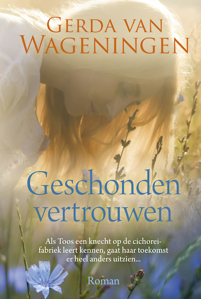 Geschonden vertrouwen - Gerda van Wageningen (ISBN 9789020535754)