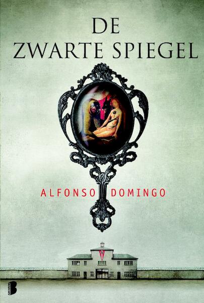 Zwarte spiegel - Alfonso Domingo (ISBN 9789460233821)
