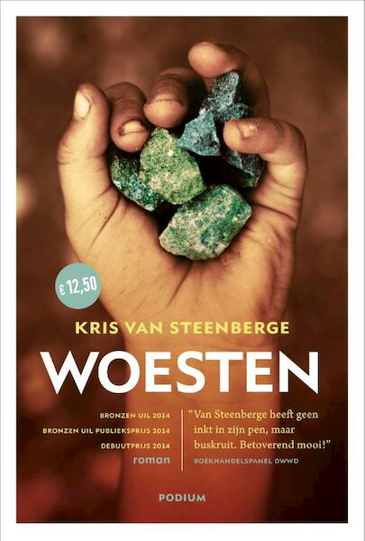 Woesten - Kris Van Steenberge (ISBN 9789057597206)