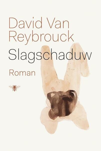 Slagschaduw - David Van Reybrouck (ISBN 9789023491873)