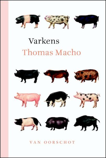 Varkens - Thomas Macho (ISBN 9789028280236)