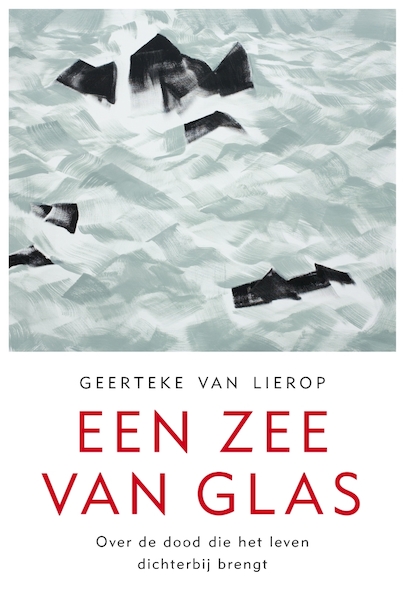 Een zee van glas - Geerteke van Lierop (ISBN 9789025906832)