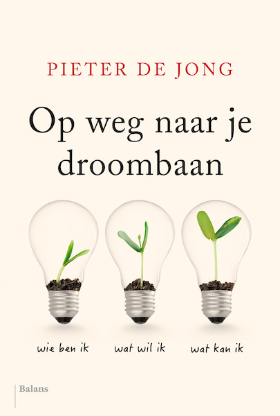 Op weg naar je droombaan - Pieter de Jong (ISBN 9789463820424)