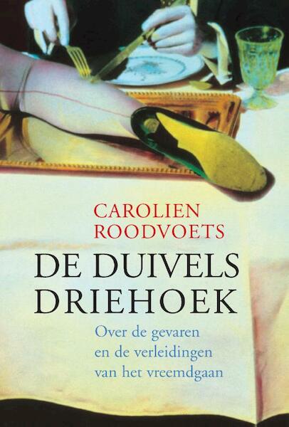 De duivelsdriehoek - Carolien Roodvoets (ISBN 9789069639482)