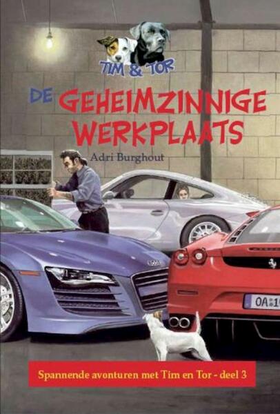 Geheimzinnige werkplaats - Adri Burghout (ISBN 9789462784994)