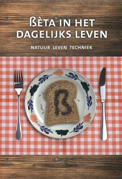 Beta in het dagelijks leven - Gerard Boeijen, Jan Willem Lackamp, Rob van Woerkom, Ben Polman (ISBN 9789085483397)