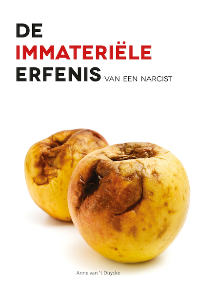 De immateriële erfenis van een narcist - Anne van 't Duycke (ISBN 9789463283373)