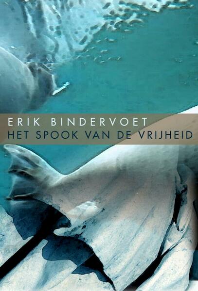 Het spook van de vrijheid - Erik Bindervoet (ISBN 9789061699484)