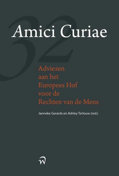 Amici Curiae, adviezen aan het Europese hof voor de rechten van de mens - J.H. Gerards, A.B. Terlouw (ISBN 9789058508133)