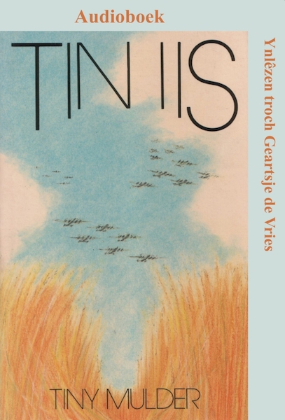 Tin iis - Tiny Mulder (ISBN 9789460380907)