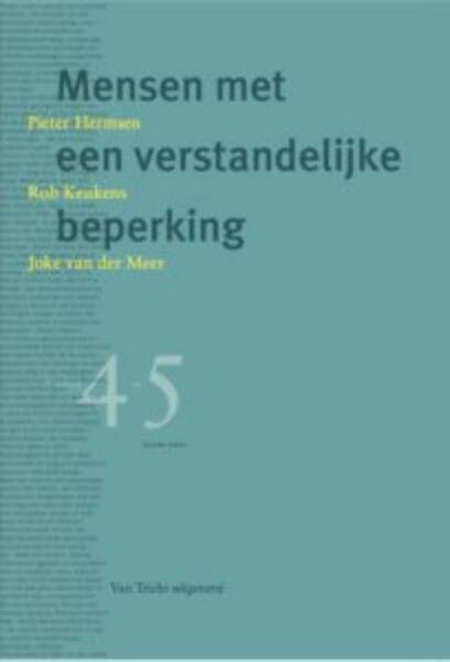 Mensen met een verstandelijke beperking - Pieter Hermsen, Rob Keukens, Joke van der Meer (ISBN 9789492333100)