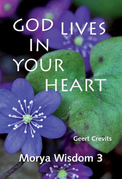 God lives in your heart - Geert Crevits (ISBN 9789075702606)