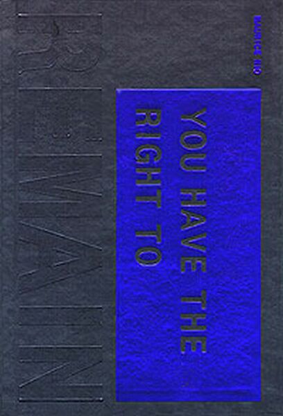 You have the right to remain silent - M. Nio (ISBN 9789071346279)