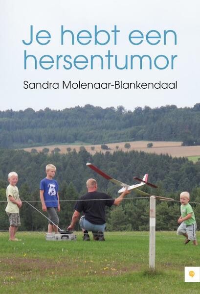 Je hebt een hersentumor - Sandra Molenaar-Blankendaal (ISBN 9789048417292)