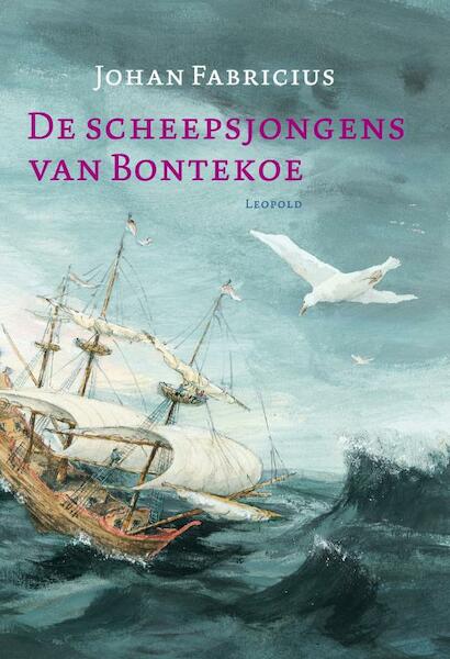 De scheepsjongens van Bontekoe - Johan Fabricius (ISBN 9789025857691)