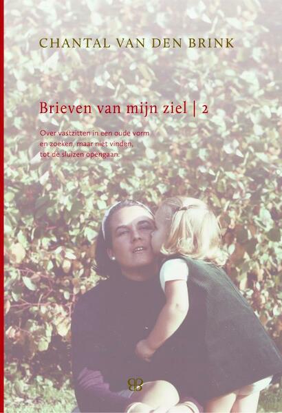 Brieven van mijn Ziel 2 - Chantal van den Brink (ISBN 9789081817219)