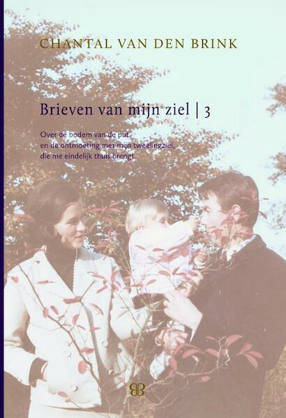 Brieven van mijn ziel 3 - Chantal van den Brink (ISBN 9789081817226)