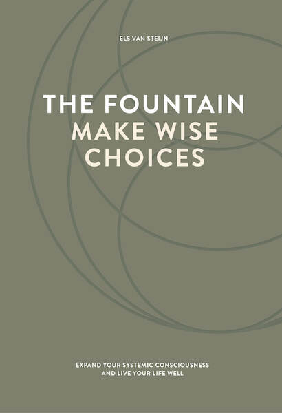 The fountain, make wise choices - Els van Steijn (ISBN 9789083183657)