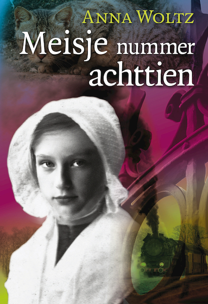 Meisje nummer achttien - Anna Woltz (ISBN 9789025883836)