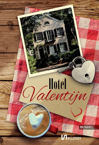 Hotel Valentijn - Eveline van Dienst, Janneke Spijkerboer, Monica Betist, Marianne Sinke (ISBN 9789464498479)