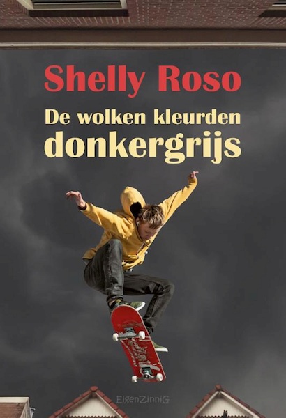 De wolken kleurden donkergrijs - Shelly Roso (ISBN 9789464930726)