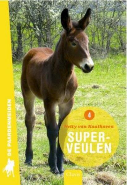 Superveulen - Netty van Kaathoven (ISBN 9789044817294)