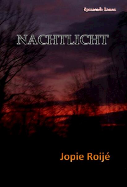 Nachtlicht - Jopie Roije (ISBN 9789491254499)