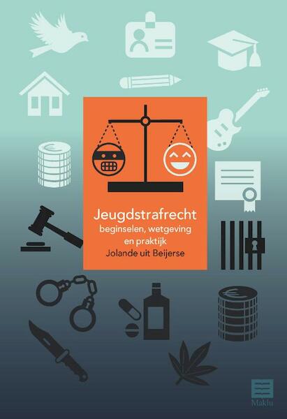 Jeugdstrafrecht, 4e uitgave - Jolande uit Beijerse (ISBN 9789046609668)