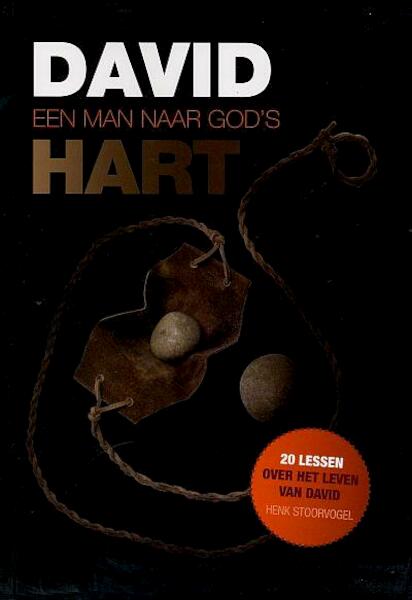 David een man naar Gods hart - Henk Stoorvogel (ISBN 9789079859054)