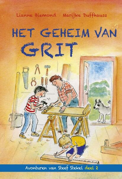 Het geheim van Grit - Lianne Biemond (ISBN 9789087182090)