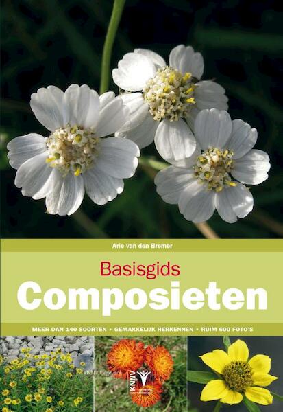 Basisgids composieten - Arie van den Bremer (ISBN 9789050116121)