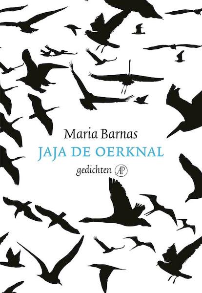 Jaja de oerknal - Maria Barnas (ISBN 9789029587365)