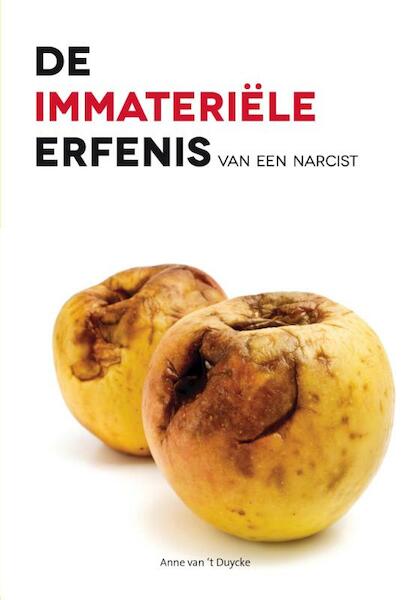 De immateriele erfenis van een narcist - Anne van 't Duycke (ISBN 9789462036222)