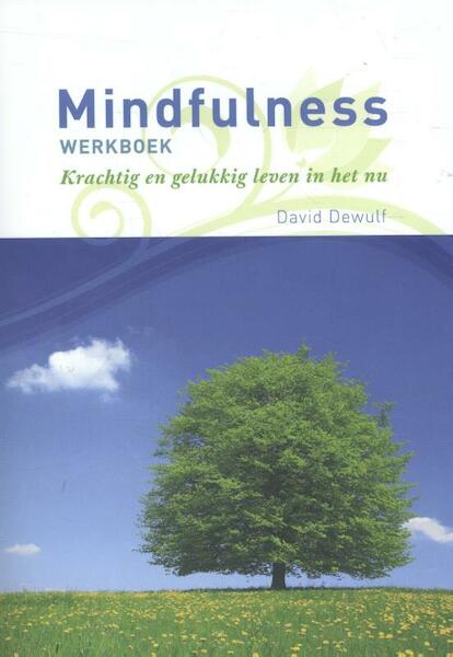 Mindfulness werkboek - David Dewulf (ISBN 9789082428308)