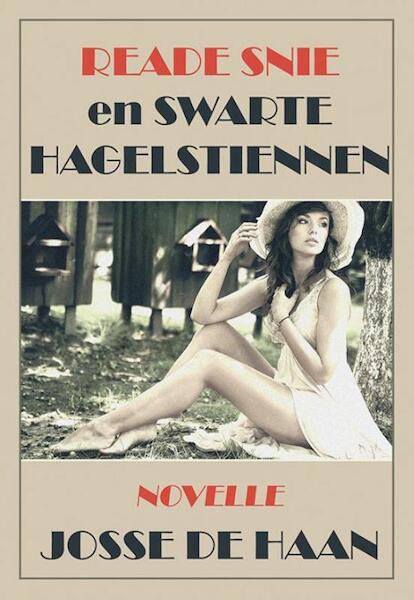 Reade snie en swarte hagelstiennen - Josse de Haan (ISBN 9789089548894)