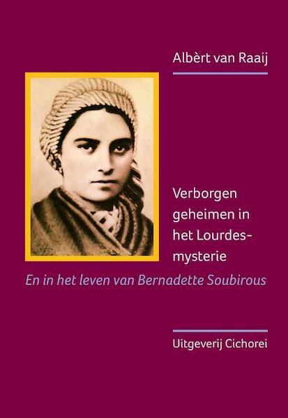 Verborgen geheimen in het Lourdes-mysterie - Albèrt van Raaij (ISBN 9789491748547)