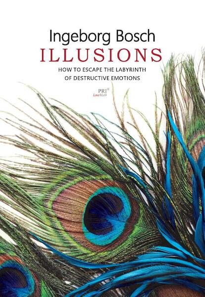 Illusions - Ingeborg Bosch (ISBN 9789080704923)