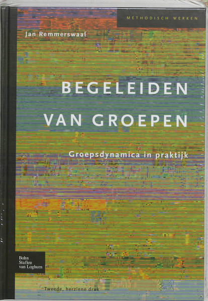 Begeleiden van groepen - Jan Remmerswaal (ISBN 9789031347315)