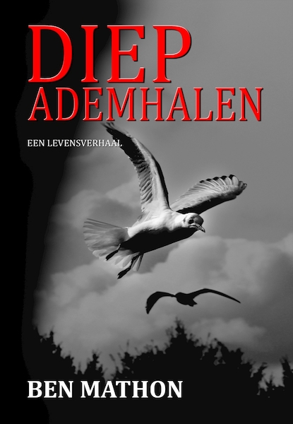 Diep ademhalen - Ben Mathon (ISBN 9789081600729)