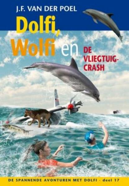 Dolfi Wolfi en de vliegtuigcrash 17 - J.F. van der Poel (ISBN 9789088651366)