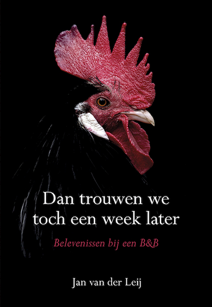Dan trouwen we toch een week later - Jan van der Leij (ISBN 9789463651288)