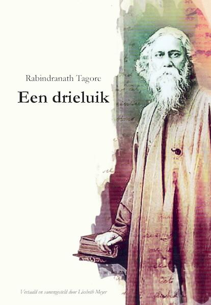 Een Drieluik - Rabindranath Tagore (ISBN 9789463450928)